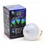 Светодиодная лампа E27 DLED STANDART LITE 12W (2шт.)